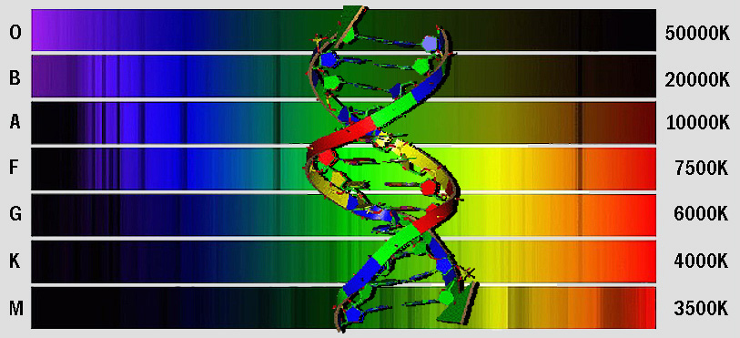 Descrizione: Descrizione: Descrizione: Descrizione: Descrizione: Descrizione: Descrizione: Descrizione: Descrizione: Descrizione: Descrizione: Descrizione: Descrizione: Descrizione: D:\backup disco E\04_II_SESTANTE_SITO\ASTRONOMIA\astrofisica\spettro\spectra & dna.jpg