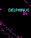 Delphinus - Delfino