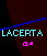 Lacerta - Lucertola