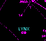 Lynx - Lince