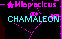 Chamaeleon - Camaleonte