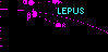 Lepus - Lepre