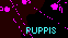 Puppis - Poppa